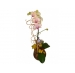 vidro c/ orquídea phalaenopsis